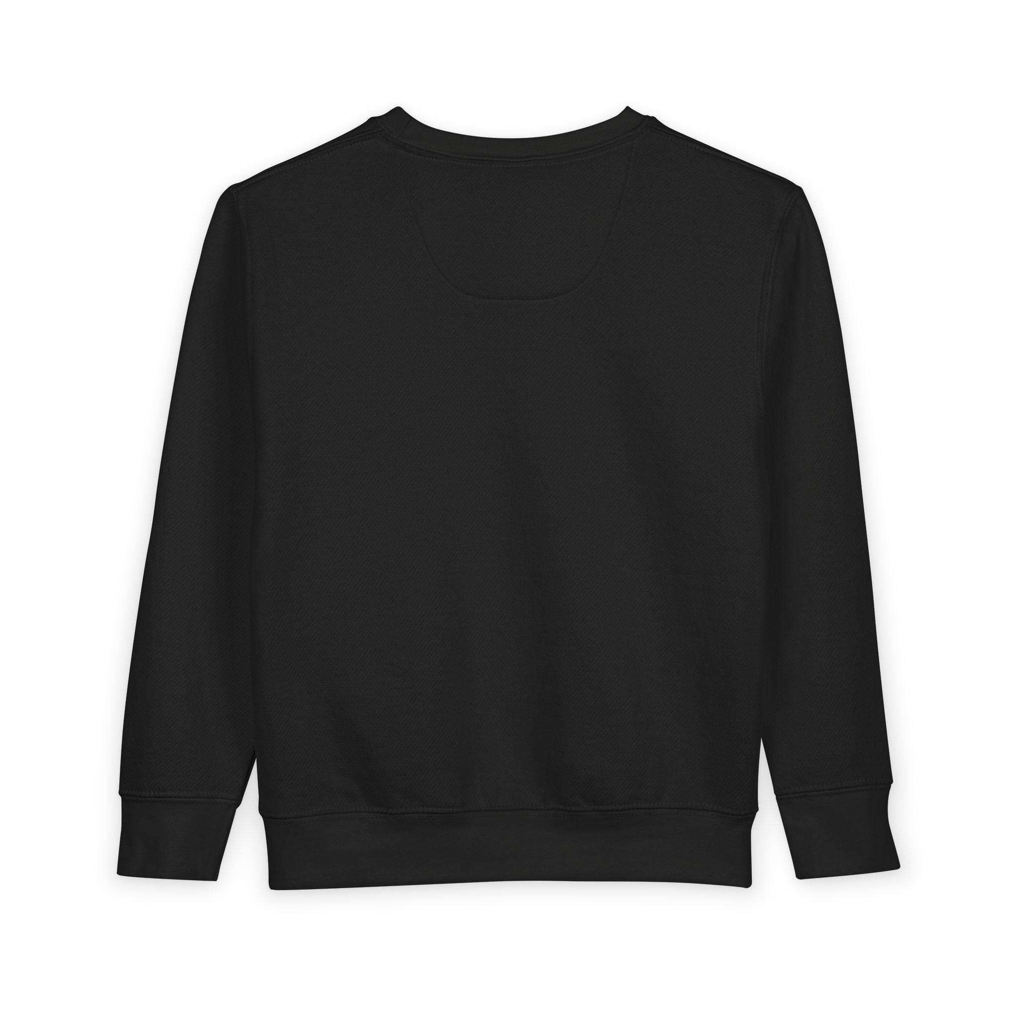 'His Name Is' Toddler Crewneck Sweatshirt – Kids clothes | Little Ark | Christian Clothing Brand
